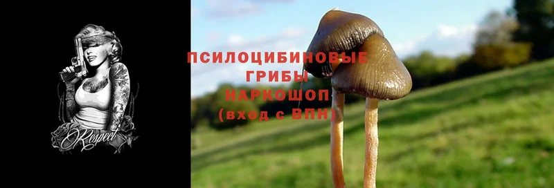 hydra вход  Алушта  Псилоцибиновые грибы Magic Shrooms 